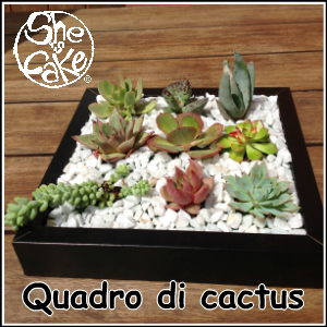 Quadro di cactusPAGINA